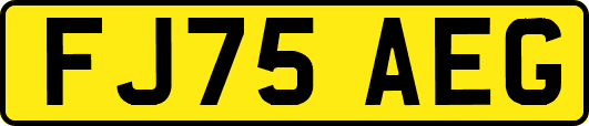 FJ75AEG