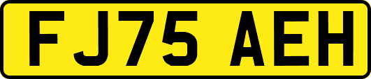 FJ75AEH