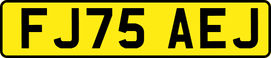 FJ75AEJ