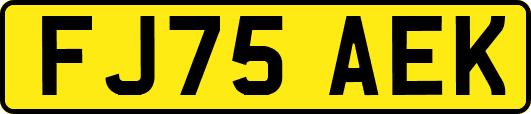 FJ75AEK