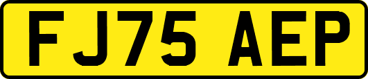 FJ75AEP