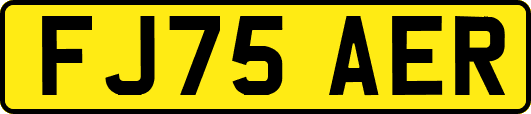 FJ75AER