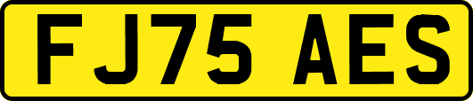 FJ75AES