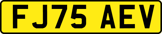 FJ75AEV