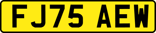 FJ75AEW
