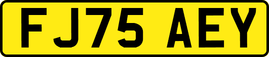FJ75AEY