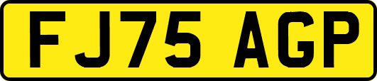 FJ75AGP
