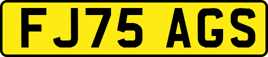 FJ75AGS