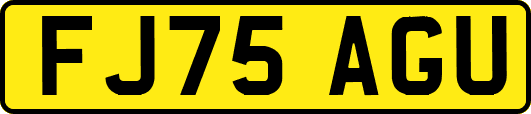 FJ75AGU