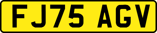 FJ75AGV