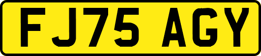 FJ75AGY
