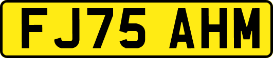 FJ75AHM