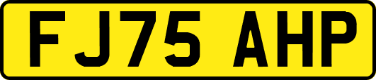 FJ75AHP