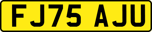 FJ75AJU