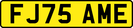 FJ75AME