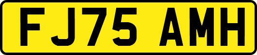 FJ75AMH