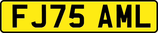 FJ75AML