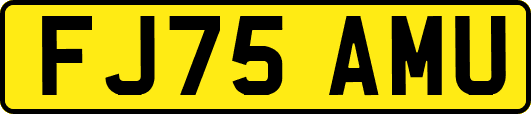 FJ75AMU