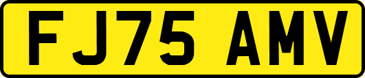 FJ75AMV
