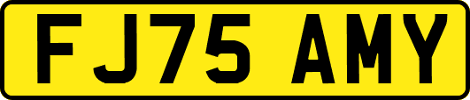 FJ75AMY