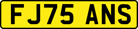 FJ75ANS
