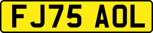 FJ75AOL