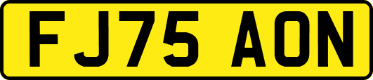 FJ75AON