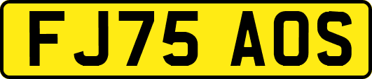 FJ75AOS