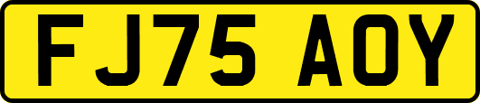 FJ75AOY