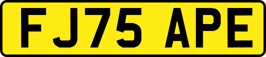FJ75APE