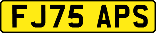 FJ75APS