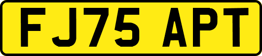 FJ75APT