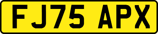 FJ75APX