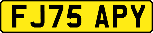 FJ75APY