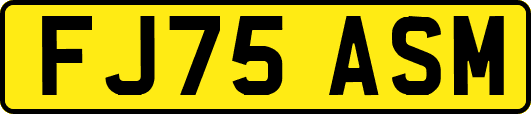 FJ75ASM
