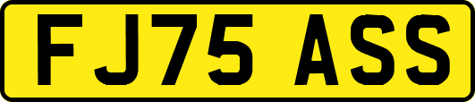 FJ75ASS