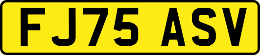 FJ75ASV