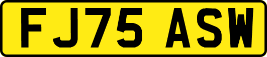 FJ75ASW