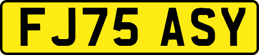 FJ75ASY