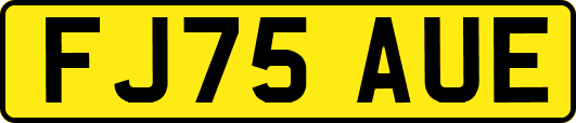 FJ75AUE