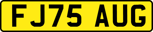 FJ75AUG