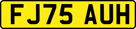 FJ75AUH