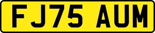 FJ75AUM