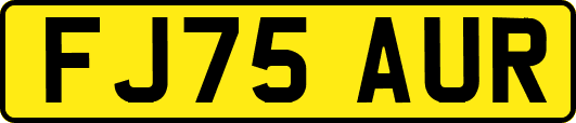 FJ75AUR