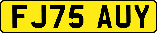 FJ75AUY