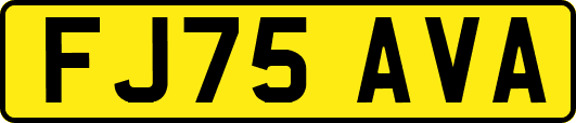 FJ75AVA