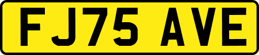 FJ75AVE