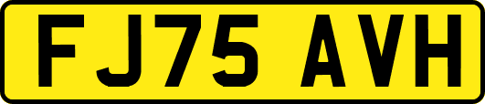 FJ75AVH