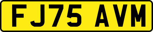 FJ75AVM