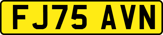 FJ75AVN